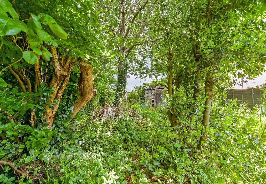 Rear Garden - Whitfeld Road, Ashford, Kent - Wards of Kent