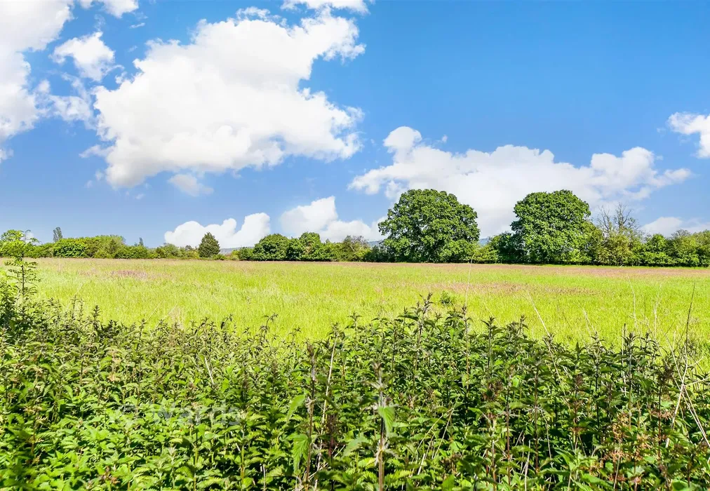 Views To Rear - Faversham Road, Boughton Lees, Kent - Wards of Kent