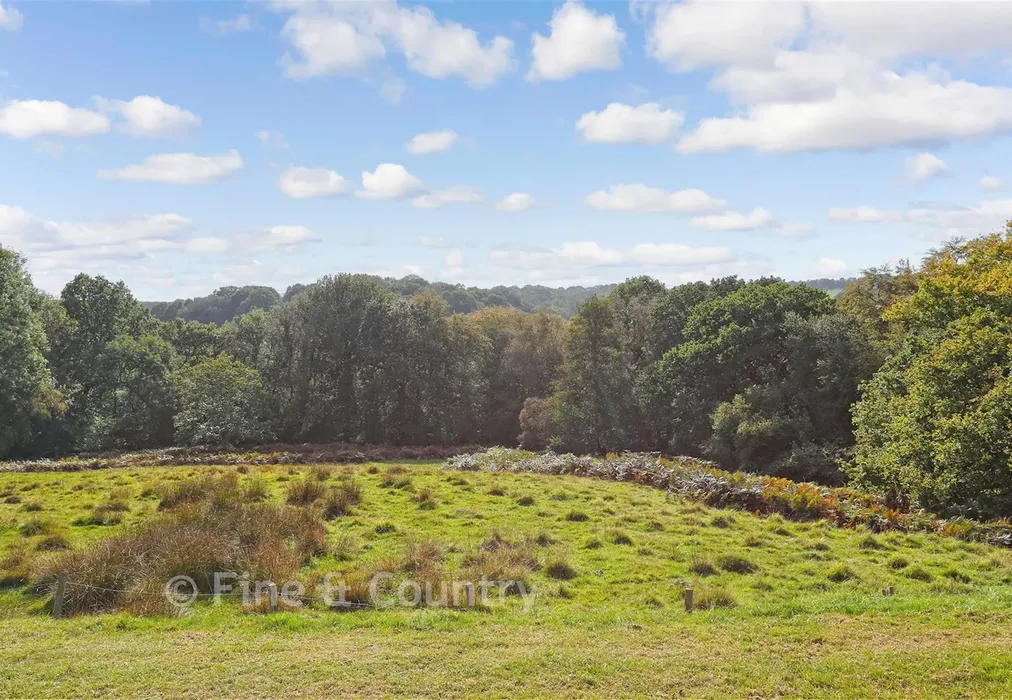 Meadow - Wadhurst Road, Mark Cross, East Sussex - Wards of Kent