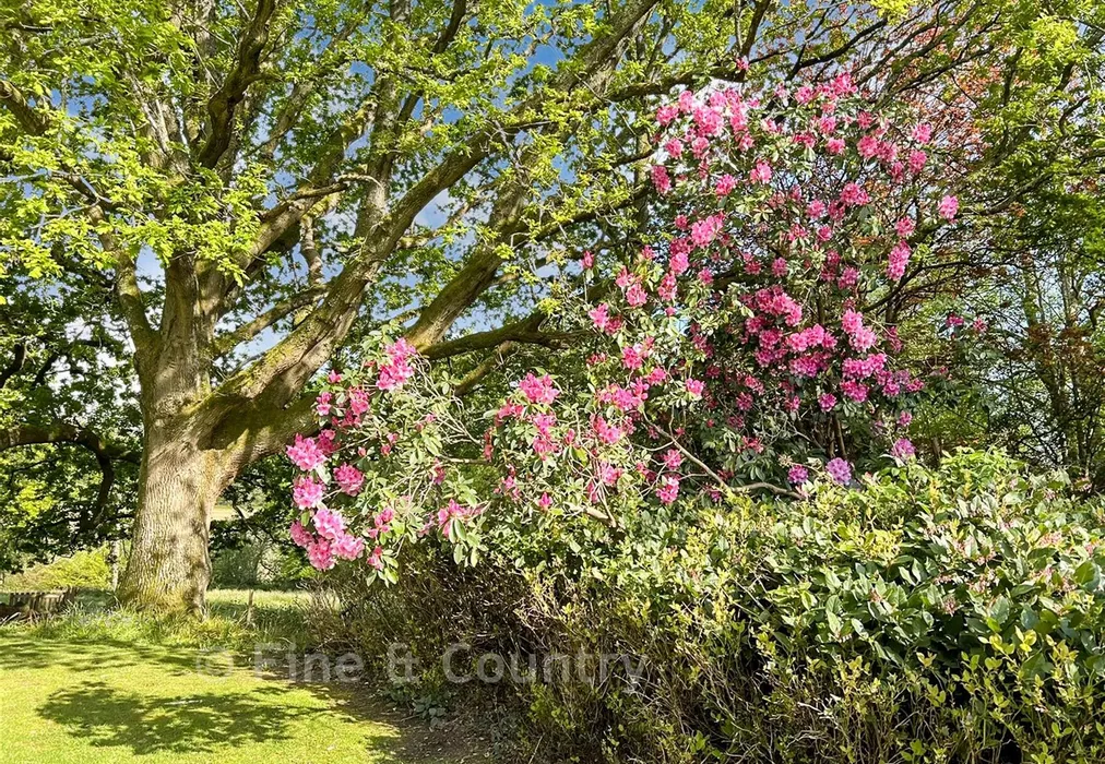 Garden - Wadhurst Road, Mark Cross, East Sussex - Wards of Kent