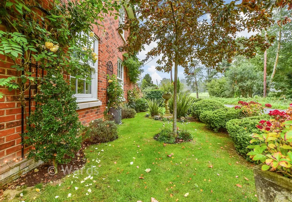 Side Garden - Three Fields Road, Tenterden, Kent - Wards of Kent