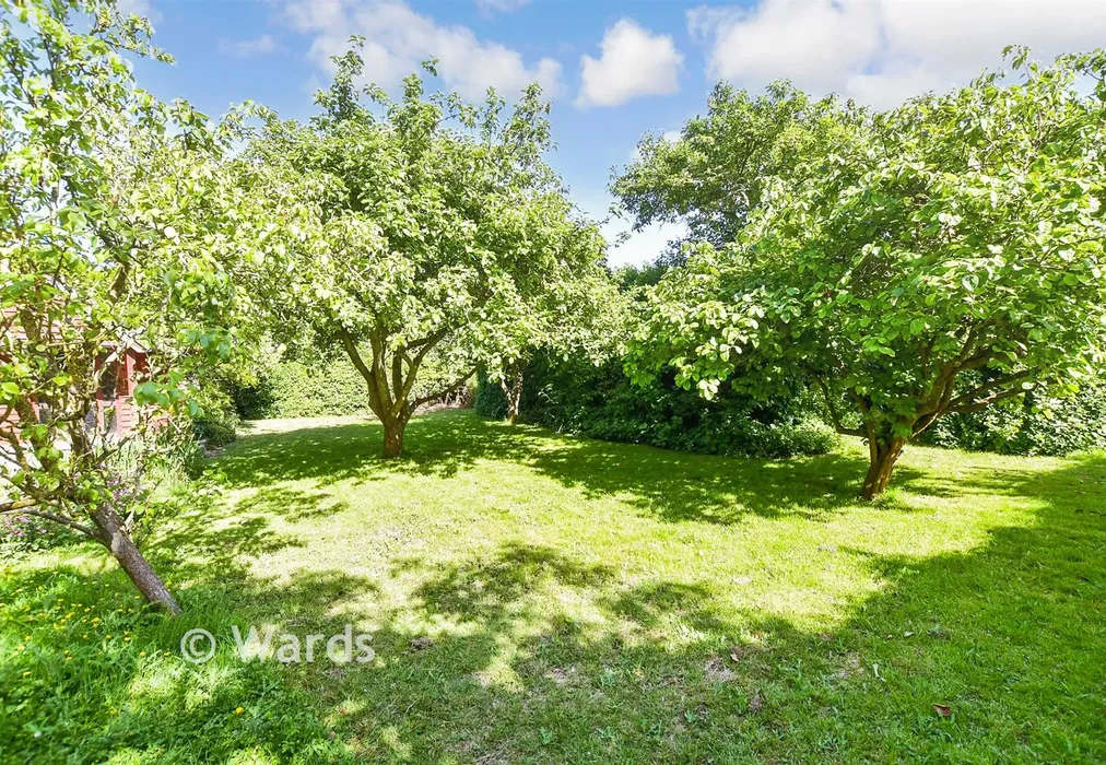 Rear Garden - Lower Sands, Dymchurch, Romney Marsh, Kent - Wards of Kent