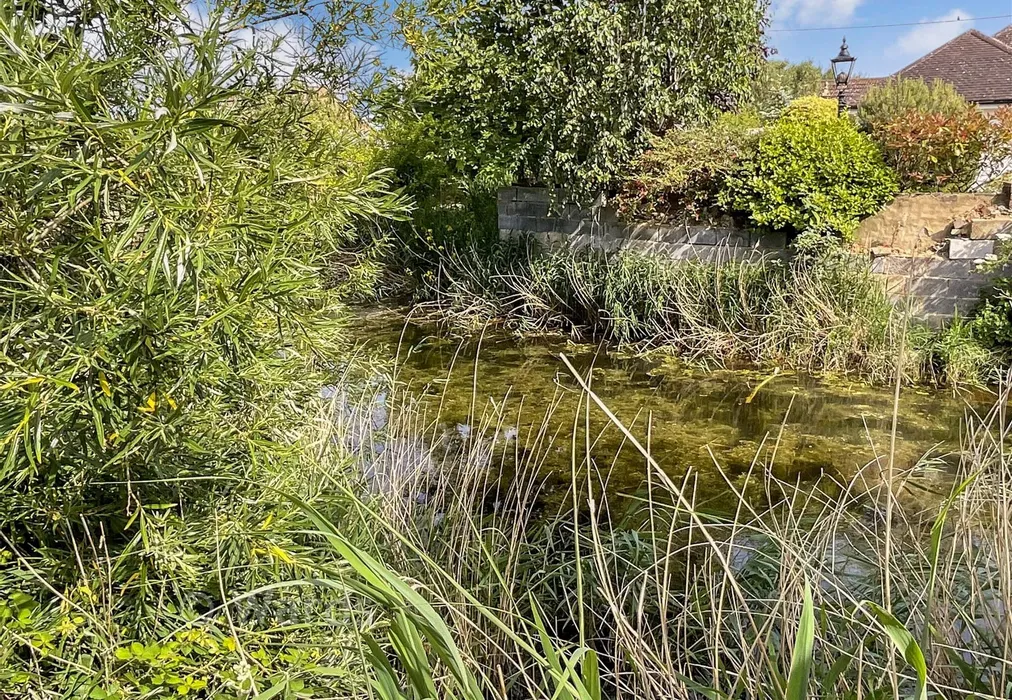 Stream - Lower Sands, Dymchurch, Romney Marsh, Kent - Wards of Kent