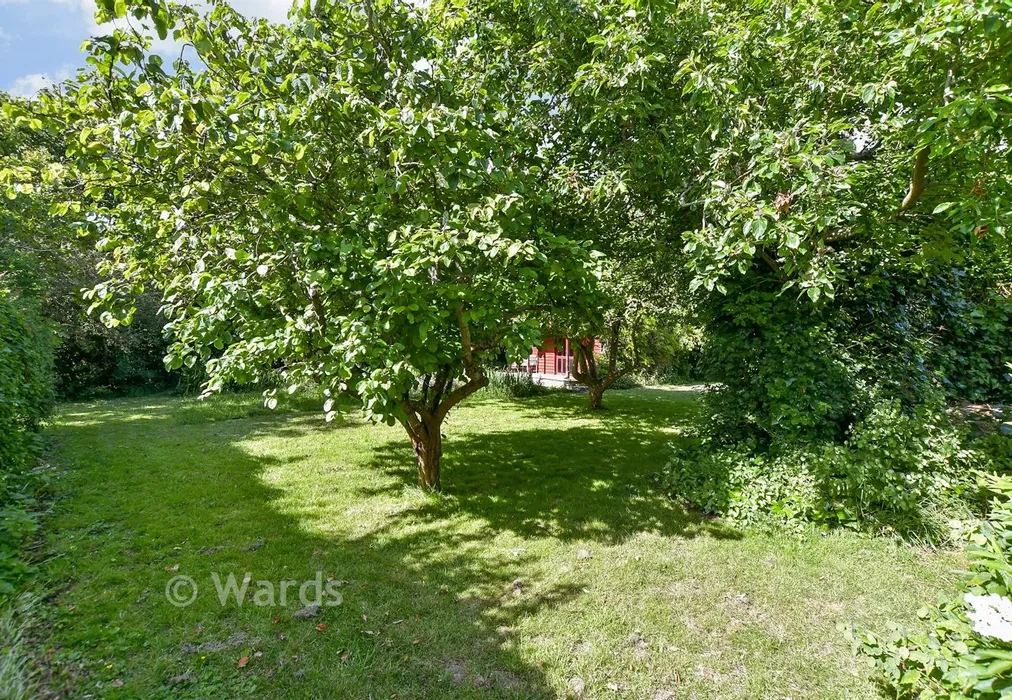 Rear Garden - Lower Sands, Dymchurch, Romney Marsh, Kent - Wards of Kent
