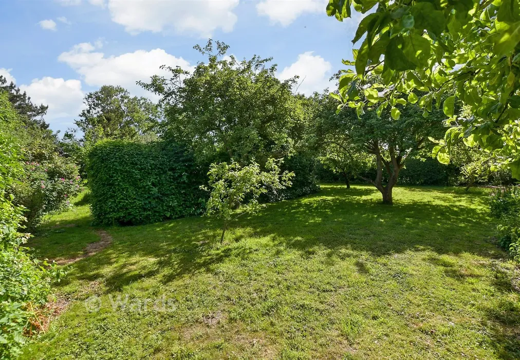 Rear Garden - Lower Sands, Dymchurch, Romney Marsh, Kent - Wards of Kent