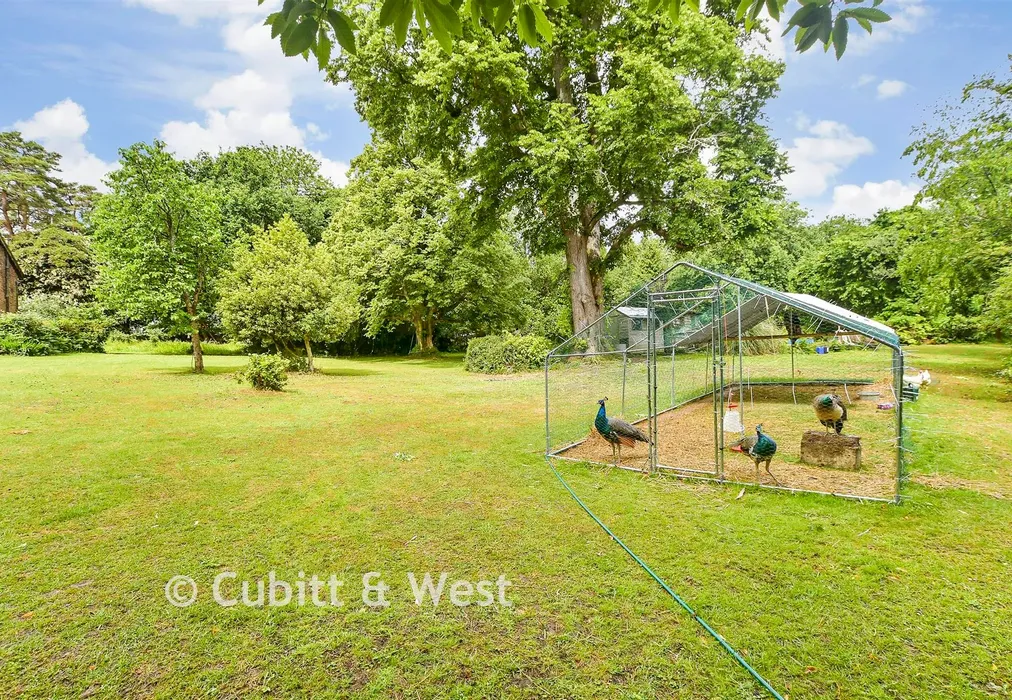 Rear Garden - Edenbridge Road, Hartfield, East Sussex - Wards of Kent