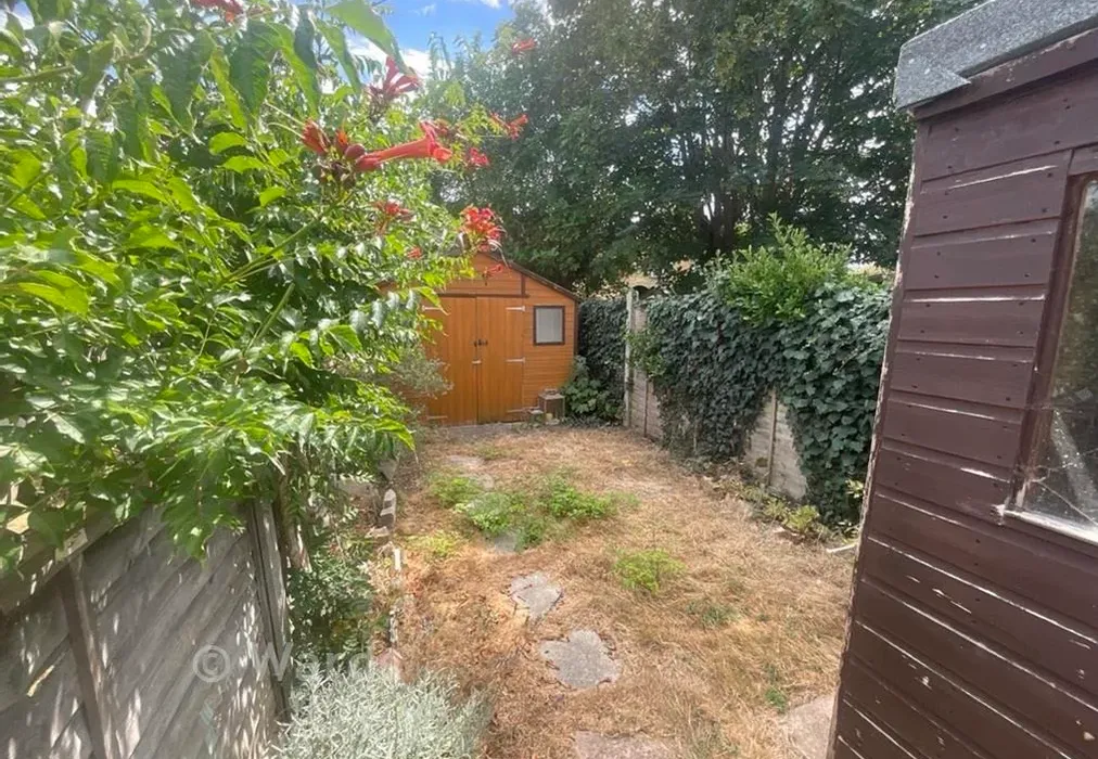 Garden - Essex Street, Whitstable, Kent - Wards of Kent