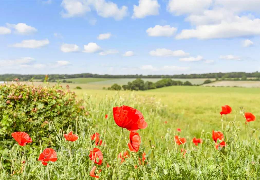 External Lifestyle Photograph - Adelaide Road, Elvington, Dover, Kent - Wards of Kent