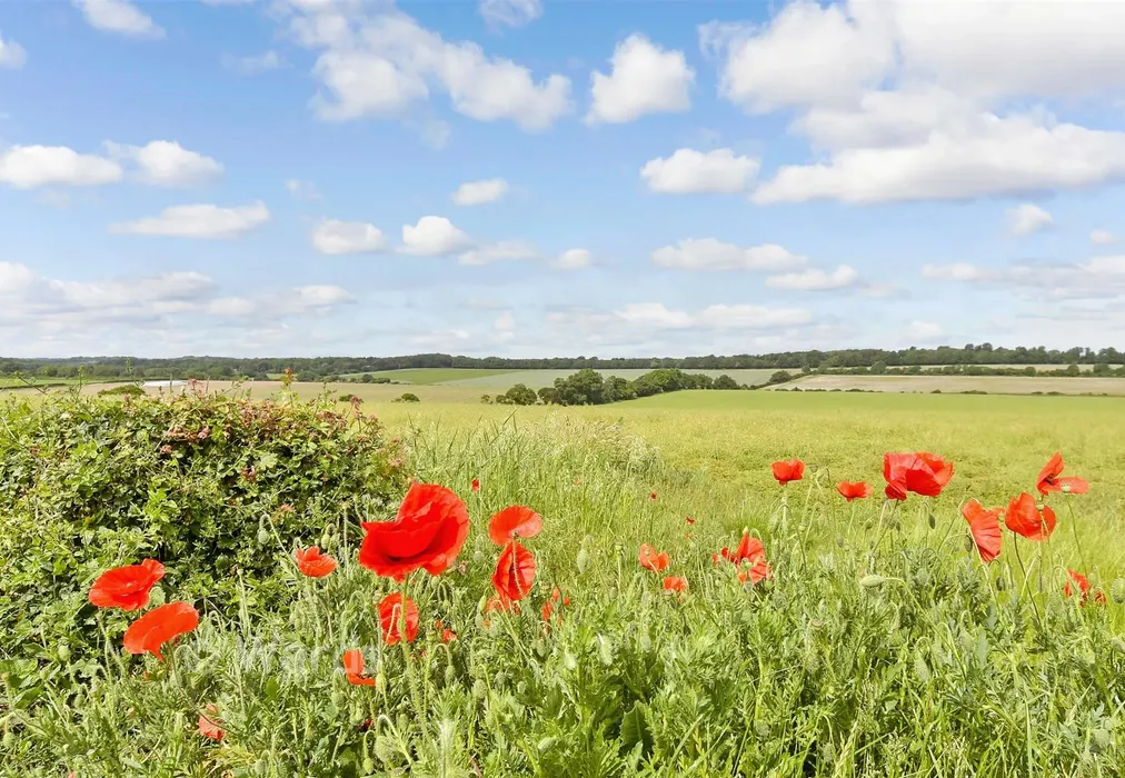 Surrounding Area - Adelaide Road, Elvington, Dover, Kent - Wards of Kent