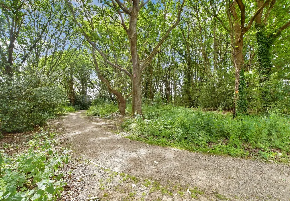 Surrounding Area - Three Fields Road, Tenterden, Kent - Wards of Kent
