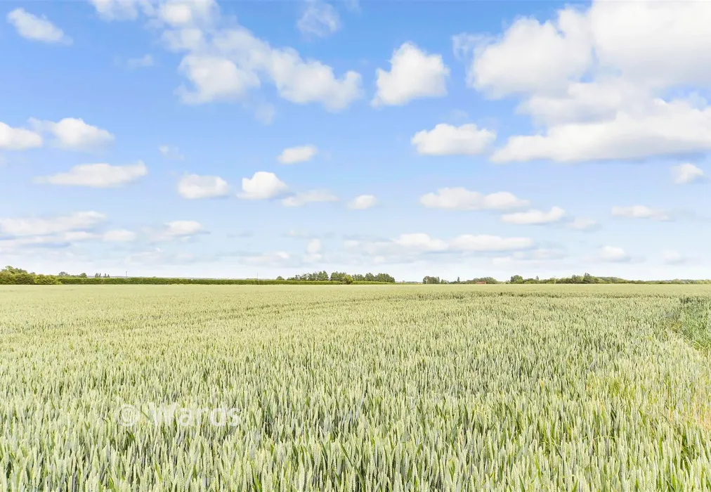 Views To Front - Stourmouth Road, Preston, Canterbury, Kent - Wards of Kent
