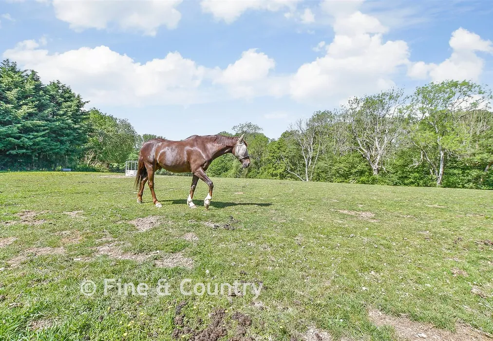 External Lifestyle Photograph - Smithers Lane, Cowden, Kent - Wards of Kent