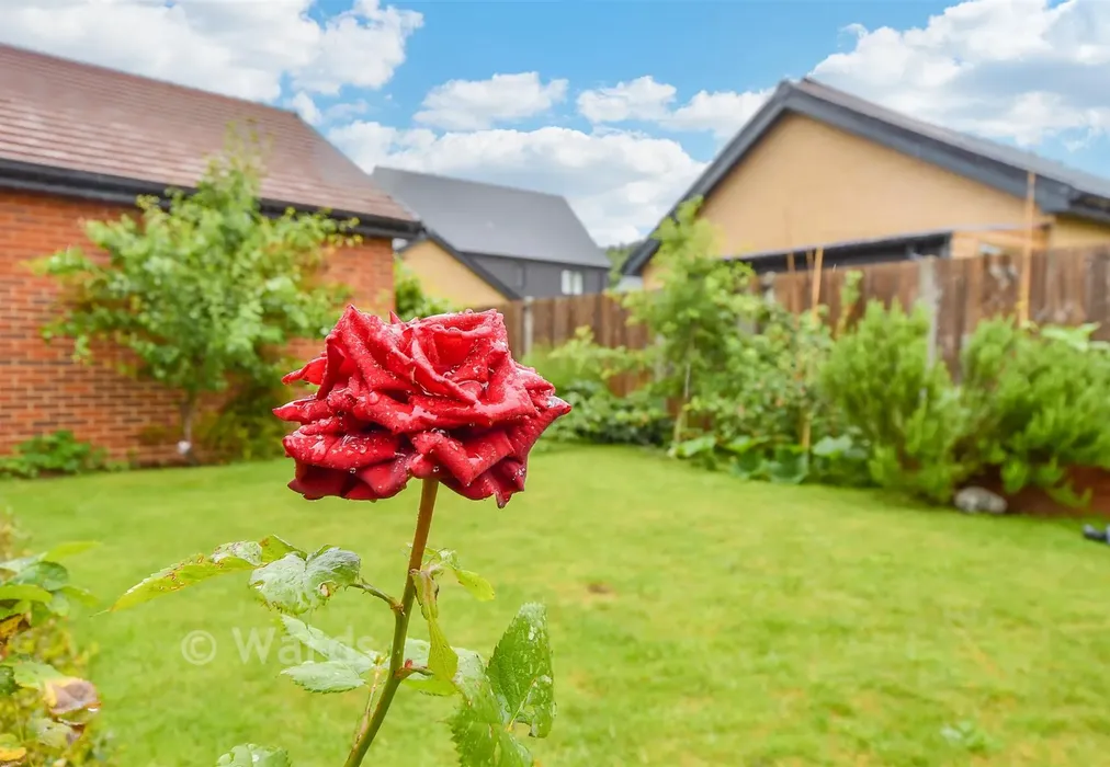 External Lifestyle Photograph - Bella Rosa Drive, Langley, Kent - Wards of Kent