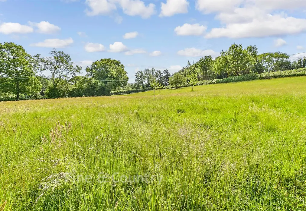 Rear Garden - Burwash Common, Etchingham, Etchingham, East Sussex - Wards of Kent