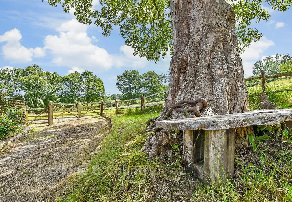 Rear Garden - Burwash Common, Etchingham, Etchingham, East Sussex - Wards of Kent