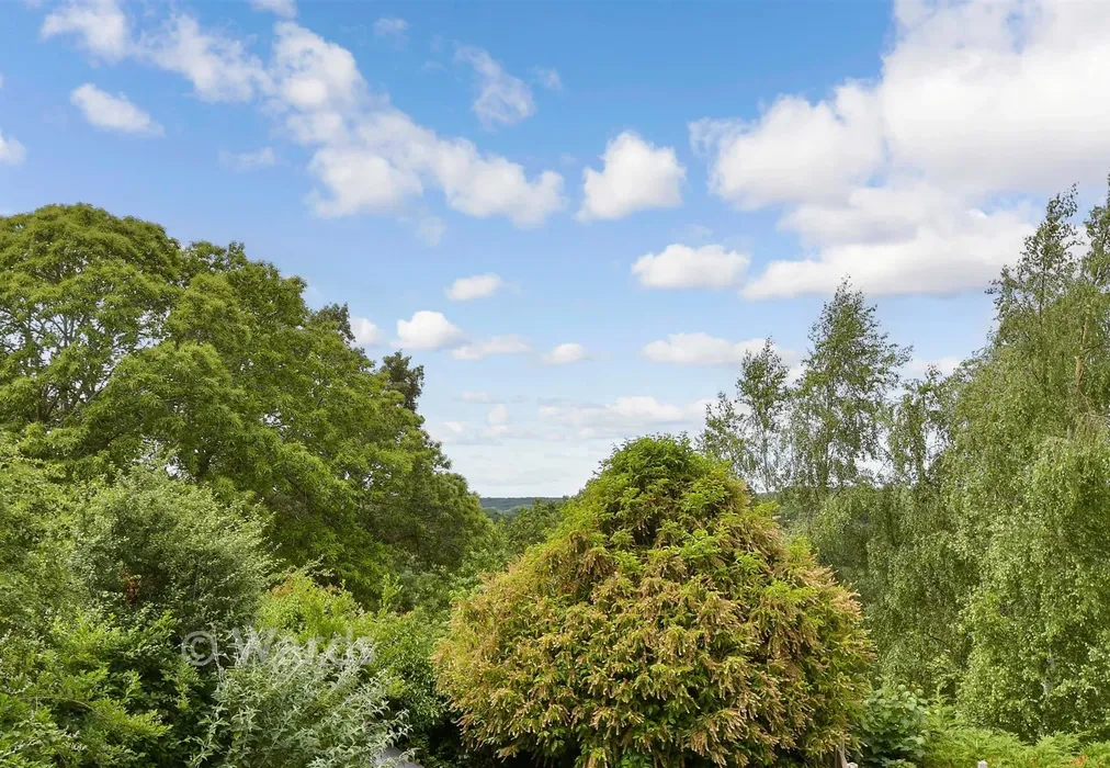 Views To Rear - Wife Of Bath Hill, Canterbury, Kent - Wards of Kent