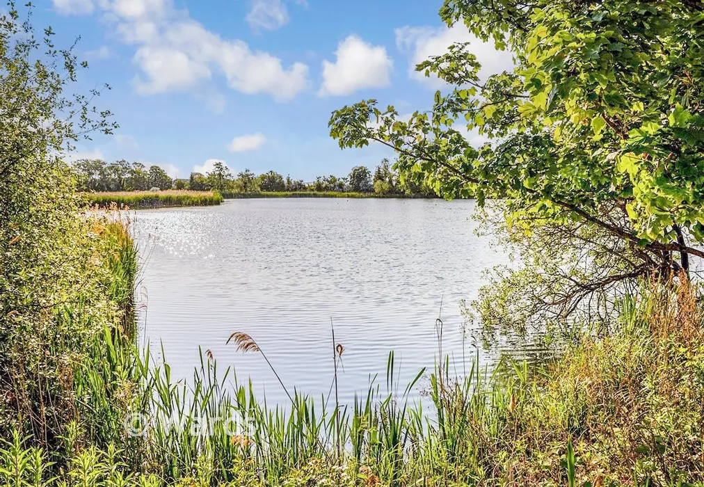 External Lifestyle - Dogwood Close, Faversham Lakes, Faversham, Kent - Wards of Kent