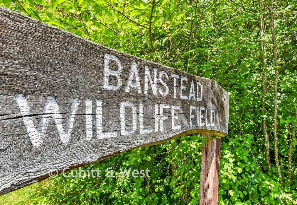 Surrounding Area - Basing Road, Banstead, Surrey - Wards of Kent