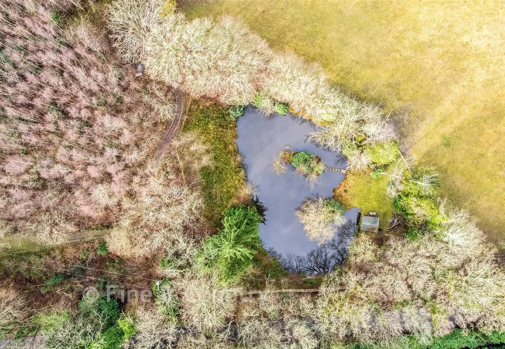 Pond - Brightling Road, Robertsbridge, East Sussex - Wards of Kent