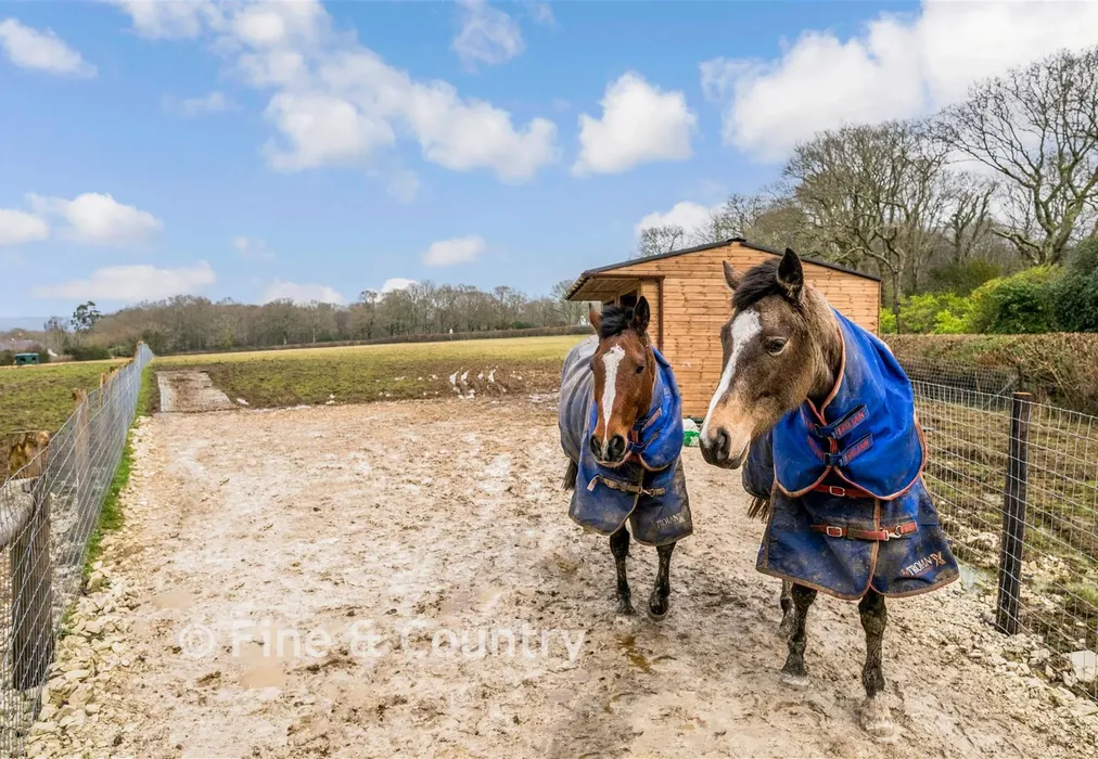 Paddock - Brightling Road, Robertsbridge, East Sussex - Wards of Kent