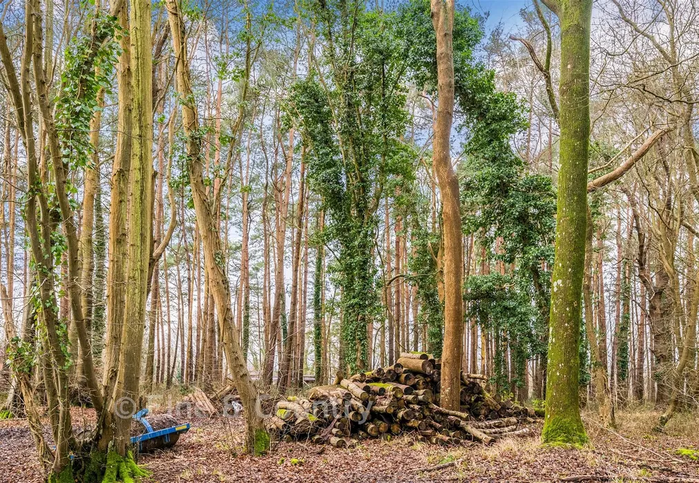 Woodlands - Brightling Road, Robertsbridge, East Sussex - Wards of Kent