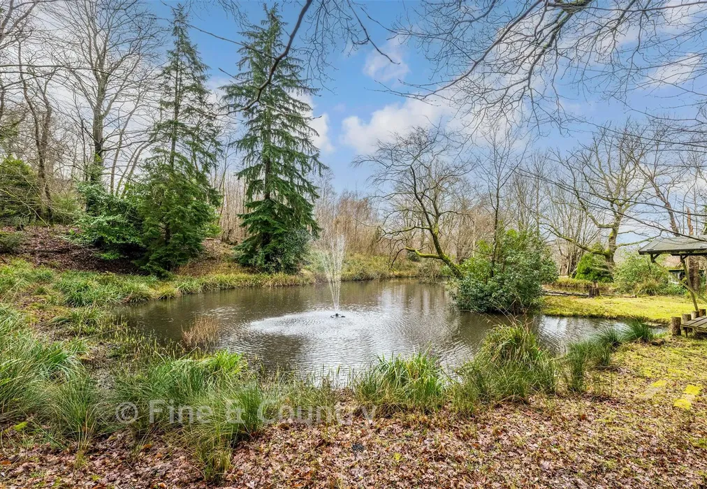 Pond - Brightling Road, Robertsbridge, East Sussex - Wards of Kent