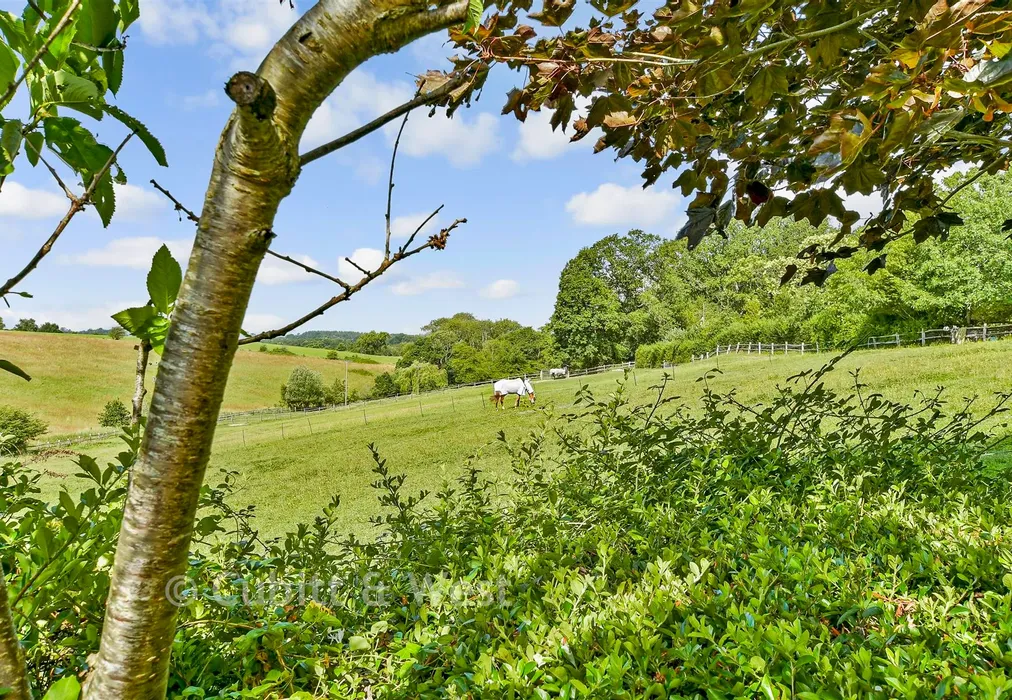 Views To Rear - Church Lane, Horsted Keynes, West Sussex - Wards of Kent