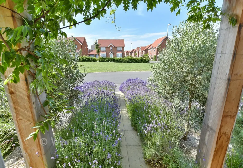 Front Garden - Russett Lane, Faversham, Kent - Wards of Kent