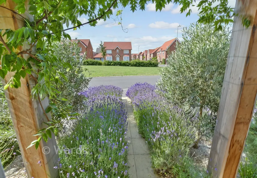 Front Garden - Russett Lane, Faversham, Kent - Wards of Kent