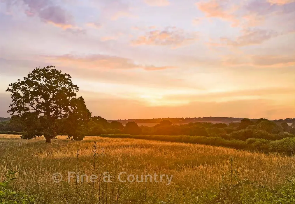 Sunset - Hartfield Road, Cowden, Edenbridge, Kent - Wards of Kent