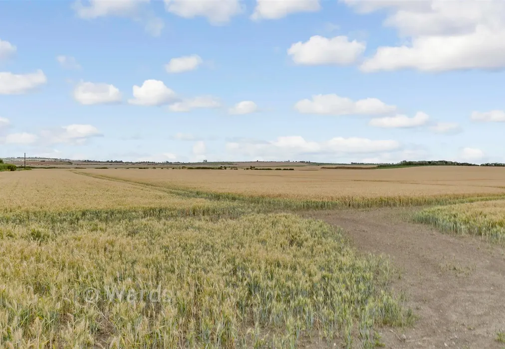 Views To Front - Harty Ferry Road, Leysdown, Sheerness, Kent - Wards of Kent