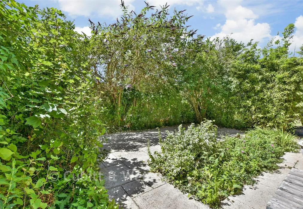 Rear Garden - Langley Park Road, Sutton, Surrey - Wards of Kent