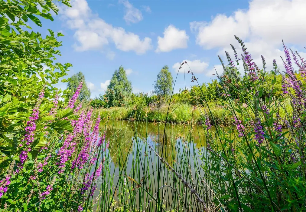 Surrounding Area - Castleridge Drive, Greenhithe, Kent - Wards of Kent