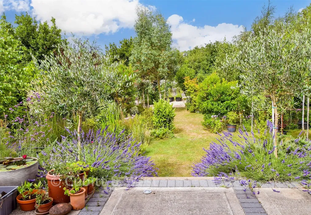 Garden - Cissbury Gardens, Worthing, West Sussex - Wards of Kent