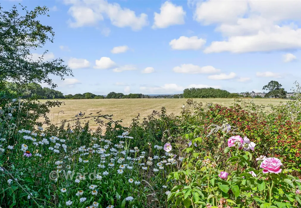 Views To Rear - Herne Common, Herne Bay, Kent - Wards of Kent