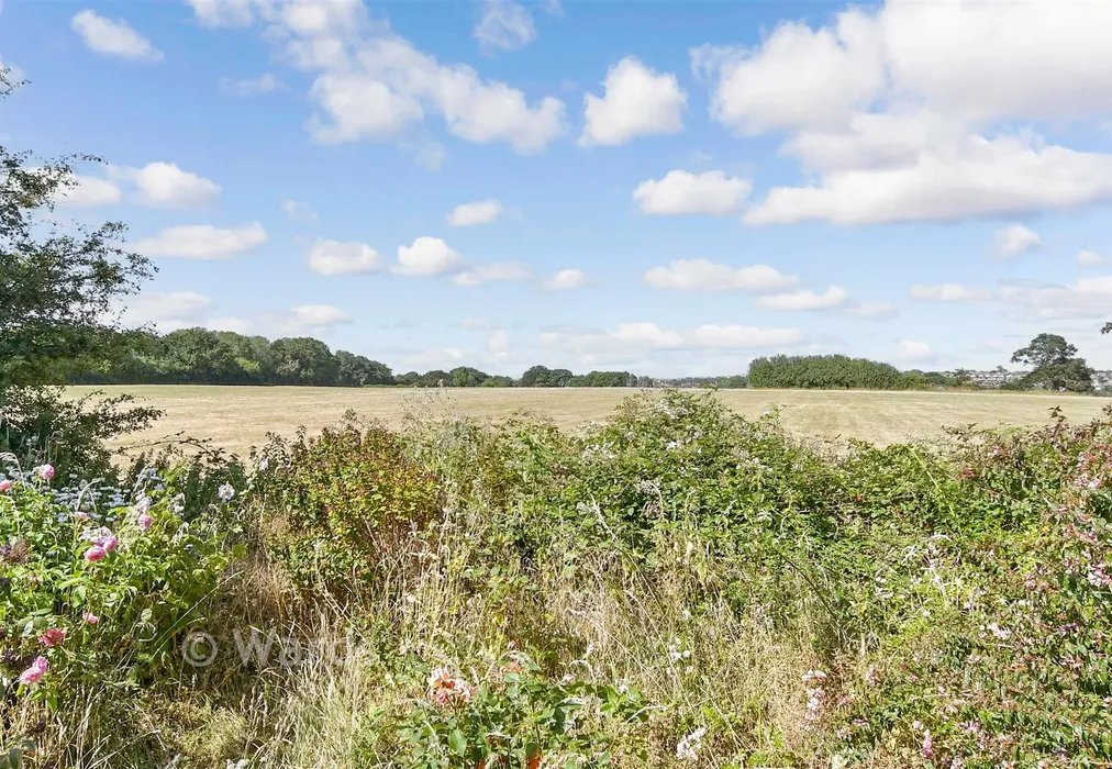 Views To Rear - Herne Common, Herne Bay, Kent - Wards of Kent