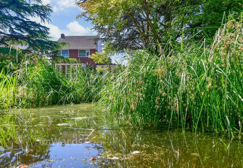 External Lifestyle Photograph - Coombelands, Wittersham, Kent - Wards of Kent