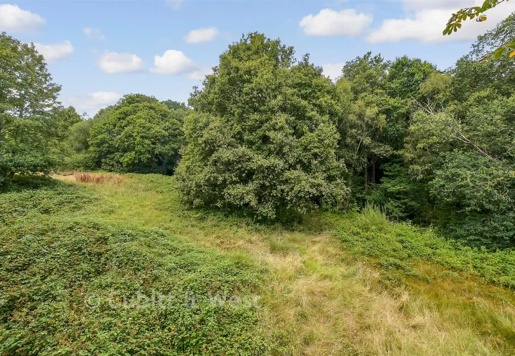 Surrounding Area - Horsham Road, Holmwood, Dorking, Surrey - Wards of Kent