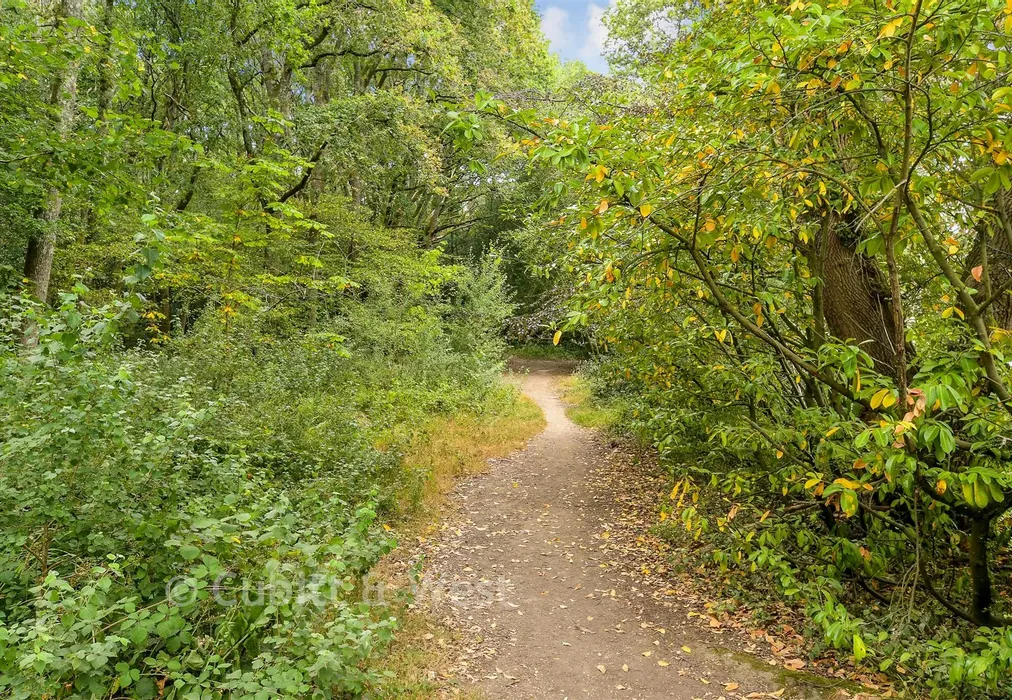 Surrounding Area - Horsham Road, Holmwood, Dorking, Surrey - Wards of Kent