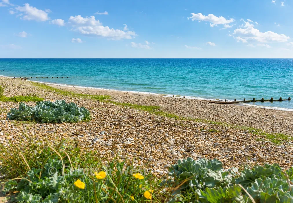 Rustington Beach - Ocean Villas, Sea Road, Rustington, West Sussex - Wards of Kent