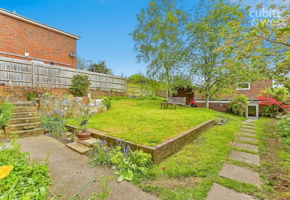 40785639-901GF3BC - Rose Bushes Epsom KT17 - Wards of Kent