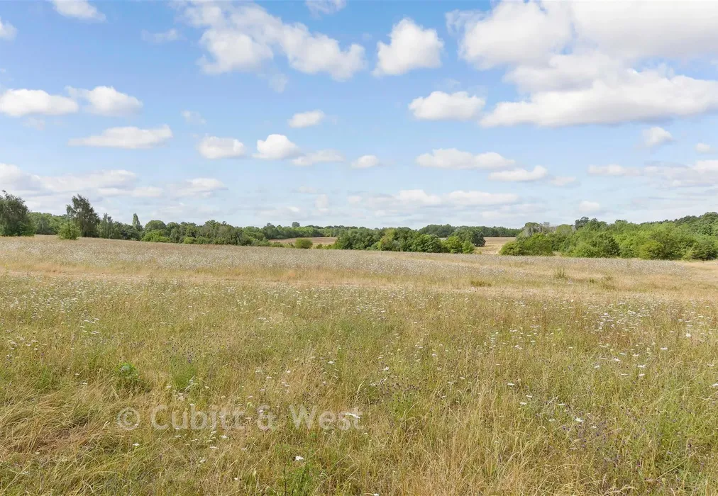 Surrounding Area - Malden Road, Sutton, Surrey - Wards of Kent