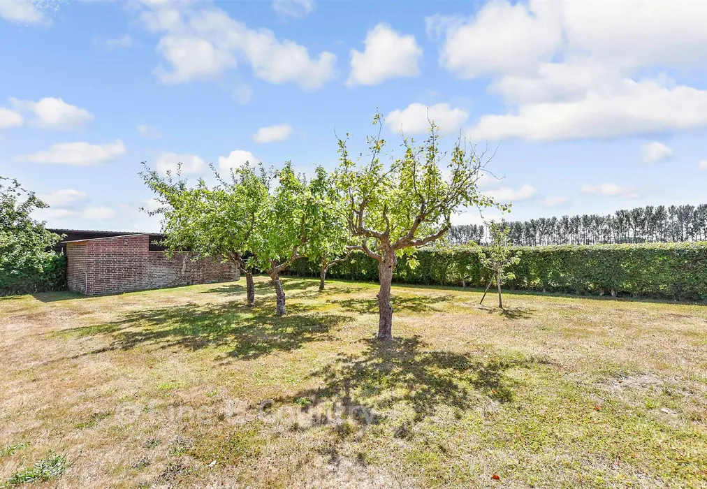 Rear Garden - Grove, Grove, Kent - Wards of Kent