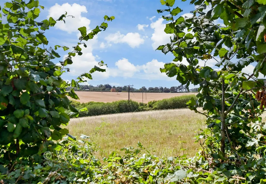 External Lifestyle Photograph - Millers Way, Harrietsham, Maidstone, Kent - Wards of Kent