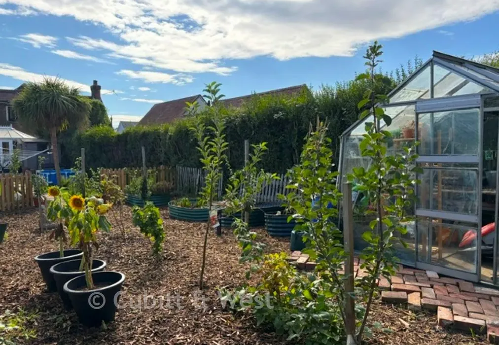 Vegetable Garden - Barnham Road, Eastergate, West Sussex - Wards of Kent