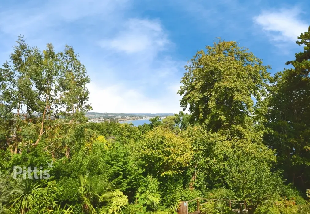  - Luccombe Road Shanklin PO37 - Wards of Kent