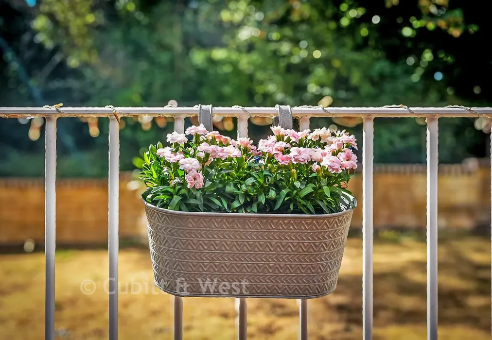 External Feature - Elm Road, Redhill, Surrey - Wards of Kent