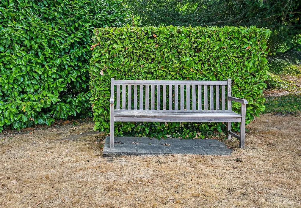 Communal Gardens - Elm Road, Redhill, Surrey - Wards of Kent