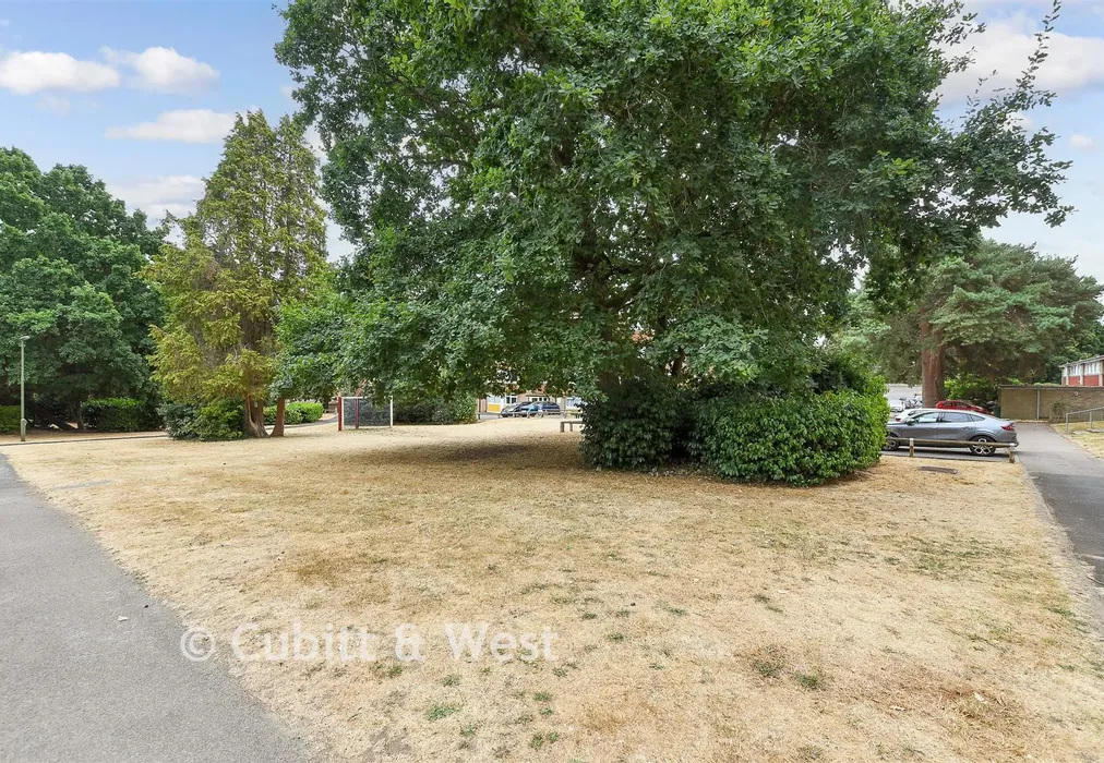 Communal Gardens - The Cedars, Reigate, Surrey - Wards of Kent