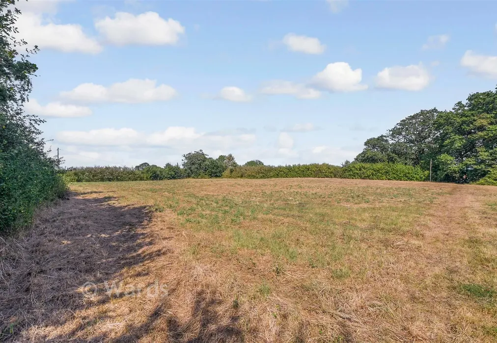 Paddock - Tenterden Road, Rolvenden, Kent - Wards of Kent
